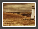 The Lion and the Lighthouse  Tracy Hagen 
13 points
Award of Merit, PID Creative Interclub Competition Round 1