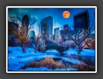 Moon Over Central Park 
 Elle Kriser