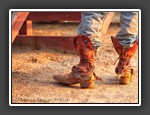 Rodeo Boots 3  Mary Presson Roberts
