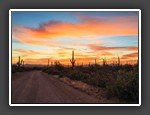 Arizona Sunset
 Joe Howard 9pts