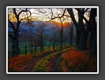 Fall Sunrise 
© Bob Tapp
10 points